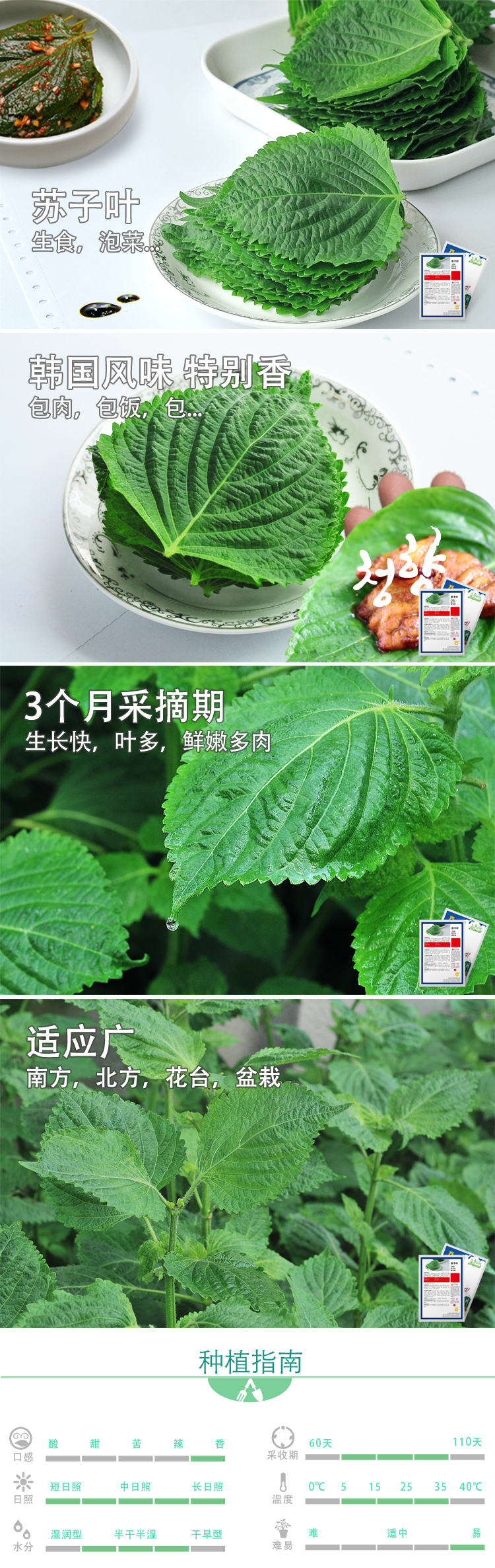 1614752038166765.jpg 青香-蘇子葉.jpg