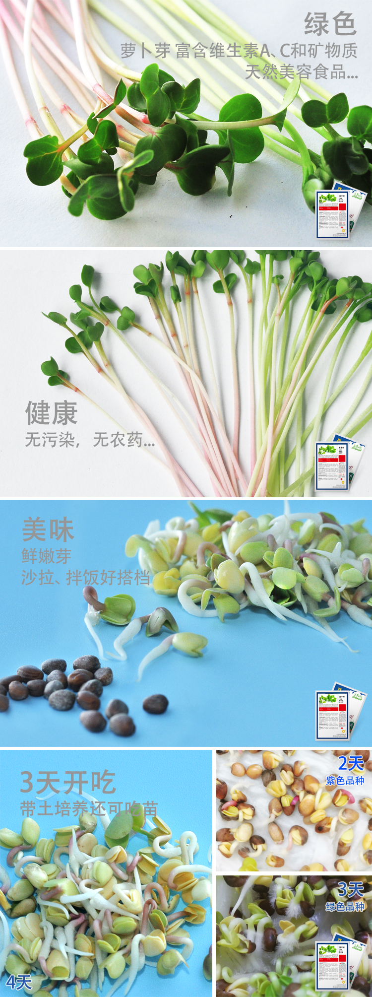 1614753408555224.jpg 蘿卜芽.jpg